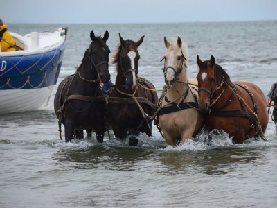 Apartment Waddenresidentie Ameland - Environment photo 15