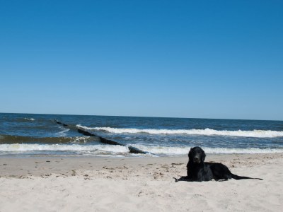 Holiday house Lüttenglück - Environment photo 20