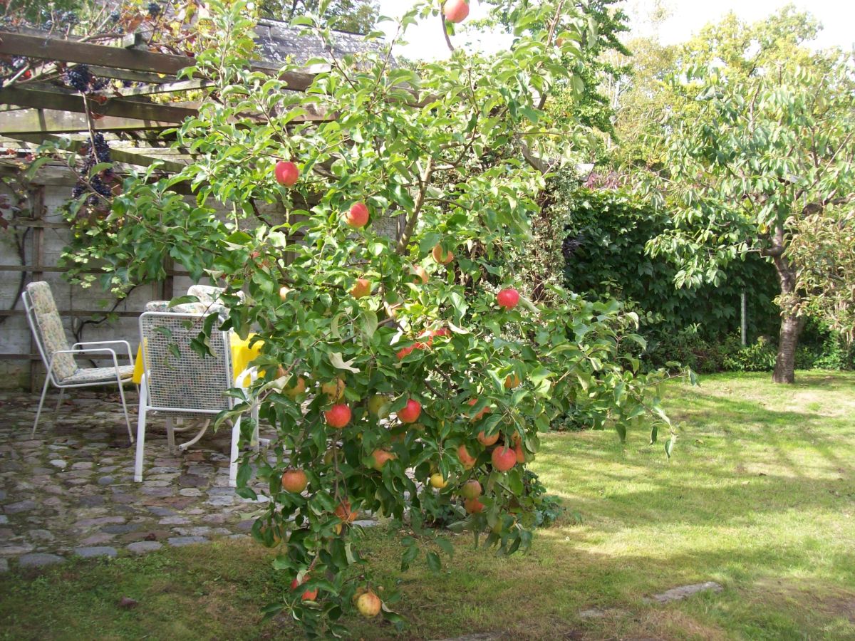 Holiday apartment Komfortferienwohnung - Outdoor photo 2