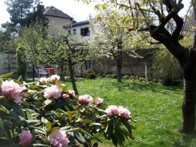 Holiday apartment Komfortferienwohnung - Outdoor photo 3