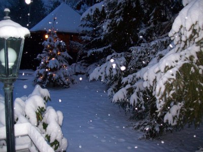 Holiday apartment Komfortferienwohnung - Outdoor photo 6