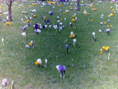 Holiday apartment Komfortferienwohnung - Environment photo 15