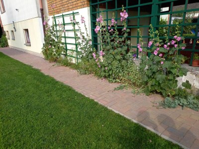 Apartment Wohnung in Alt Bukow mit Garten - Outdoor photo 7