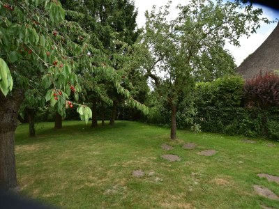 Apartment Wohnung in Alt Bukow mit Garten - Outdoor photo 14