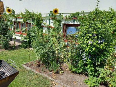 Apartment Wohnung in Alt Bukow mit Garten - Outdoor photo 16