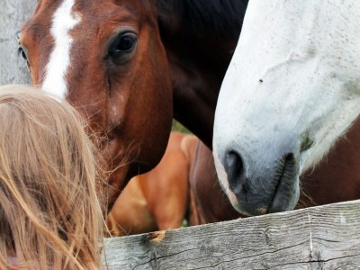 Apartment Wohnung in Alt Bukow mit Garten - Environment photo 42