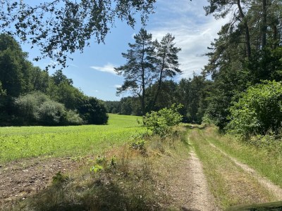 Holiday house Ferienhaus in Lübberstorf - Environment photo 33