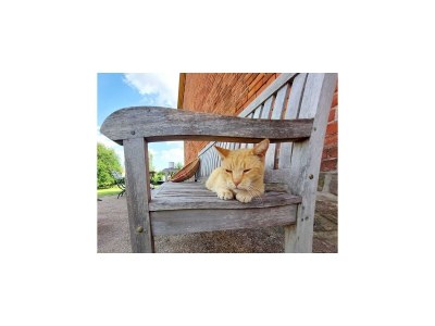 Holiday house Ferienhaus in Lübberstorf - Outdoor photo 44