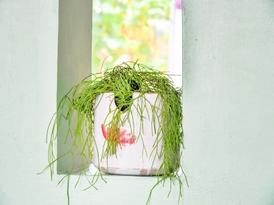 Apartment Wohnung nahe Ostsee Graal Müritz - Outdoor photo 35