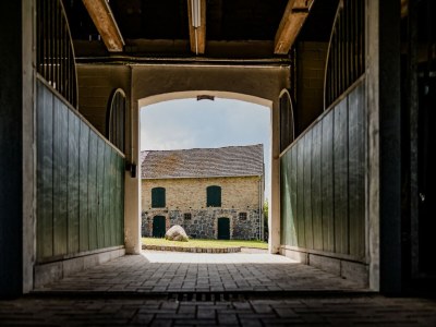 Apartment Landurlaub in Lübberstorf - Outdoor photo 8