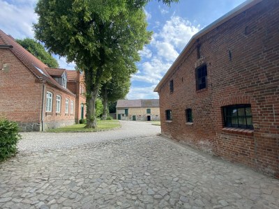 Apartment Landurlaub in Lübberstorf - Outdoor photo 9
