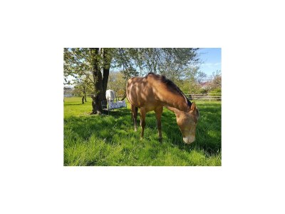 Apartment Landurlaub in Lübberstorf - Outdoor photo 15