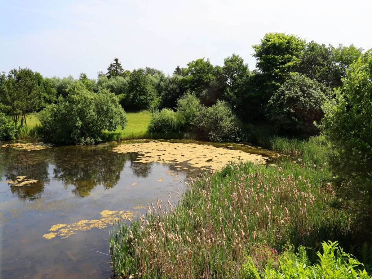 Apartment Ferienwohnung Parkblick mit 3 Schlafzimmern - Outdoor photo 5