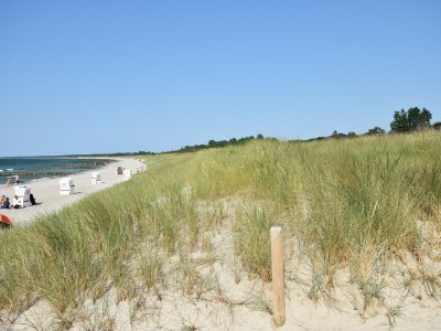 Apartment Ferienwohnung Parkblick mit 3 Schlafzimmern - Environment photo 33