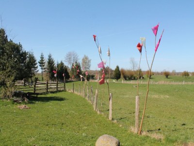 Apartment Ferienwohnung Parkblick mit 3 Schlafzimmern - Environment photo 34