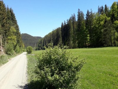 Apartment Gemütliche Wohnung für 4 Personen - Environment photo 31