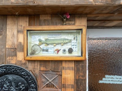 Apartment Ferienwohnung mit Wintergarten in Wismar - Outdoor photo 37