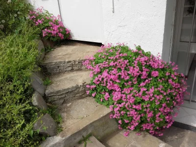 Holiday apartment Lago Blu - Outdoor photo 3