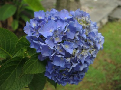 Holiday house Rustico Al Torchio - Outdoor photo 10