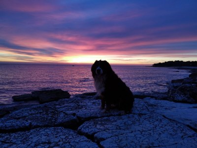 Holiday house Greta - Environment photo 38