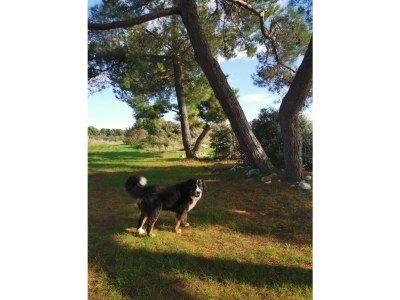 Holiday house Greta - Environment photo 40