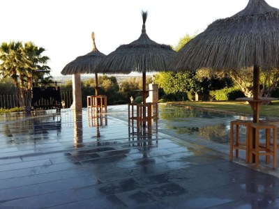 Finca Ses Oliveres - Features photo 9