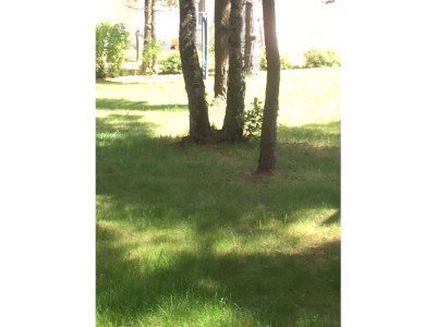 Holiday house Wellenreiter - Outdoor photo 6