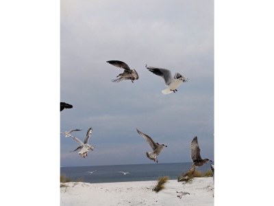 Holiday house Wellenreiter - Outdoor photo 12