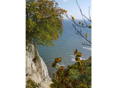 Holiday house Wellenreiter - Environment photo 28