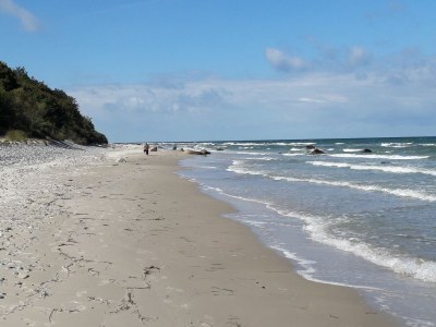 Holiday house Wellenreiter - Environment photo 29