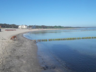 Holiday house Wellenreiter - Environment photo 32