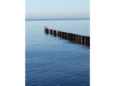 Holiday house Wellenreiter - Environment photo 33