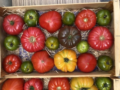 Holiday house Maussane - Le Paradou - Environment photo 35