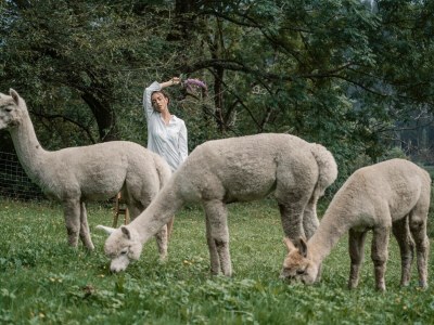 Chalet REBECCA - luxury and absolutely secluded at 1000m - Environment photo 37
