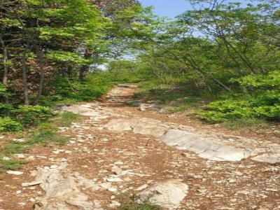 Cottage Villa in der Nähe des Iseosees mit Klimaanlage - Environment photo 31