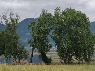 Cottage Villa in der Nähe des Iseosees mit Klimaanlage - Environment photo 39