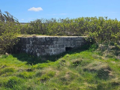 Holiday house 10 Personen Ferienhaus in Harboøre-By Traum - Outdoor photo 11