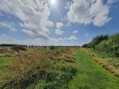 Holiday house 10 Personen Ferienhaus in Harboøre-By Traum - Outdoor photo 30