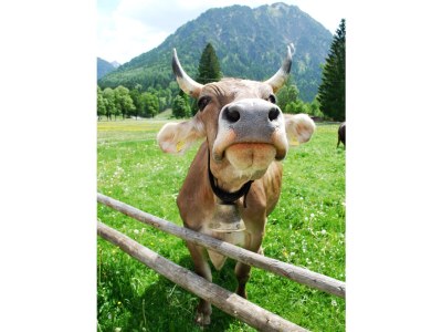 Holiday apartment Nr. 1 - Environment photo 15