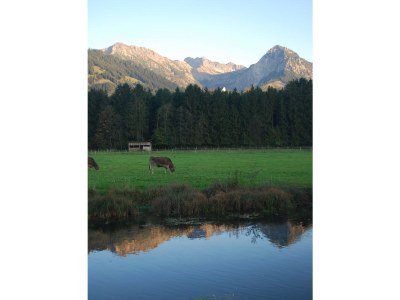 Holiday apartment Nr. 1 - Environment photo 17