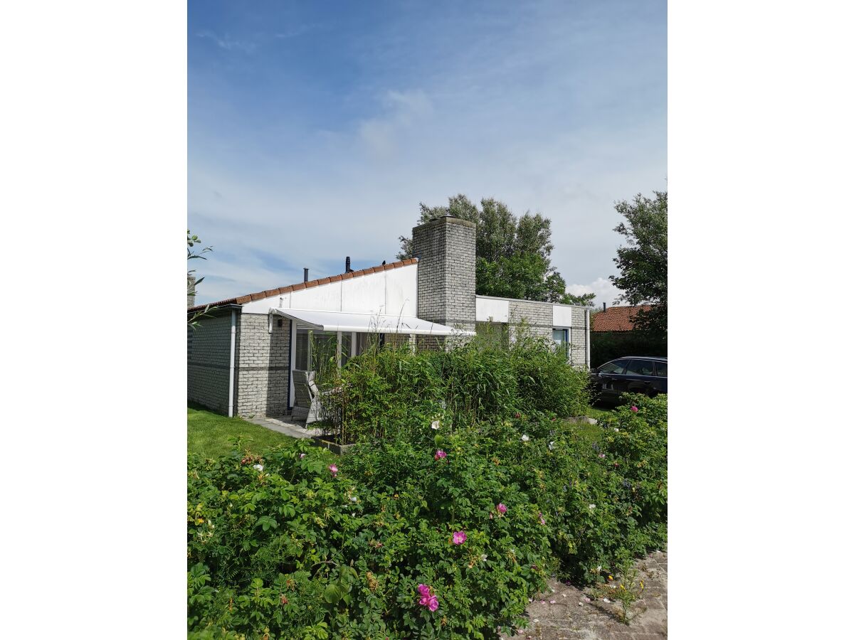 Holiday house Nordseeoase - Outdoor photo 3