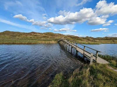 Holiday house 6 person holiday home in Nørre Nebel-By Traum - Outdoor photo 33