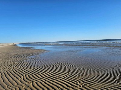 Holiday house 26 person holiday home in Frørup - Outdoor photo 19