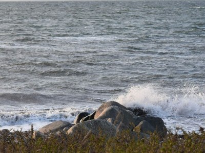 Holiday house Luxury Retreat with Pool - By Traum Ferienwohnungen - Outdoor photo 20