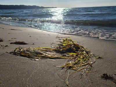 Holiday house Luxury Retreat with Pool - By Traum Ferienwohnungen - Outdoor photo 30