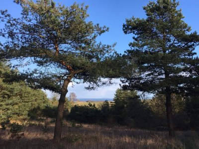 Holiday house 7 Personen Ferienhaus in Knebel-By Traum - Outdoor photo 21