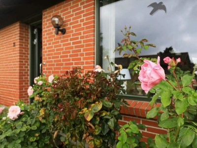 Holiday house 4 Personen Ferienhaus in Ærøskøbing-By Traum - Outdoor photo 32