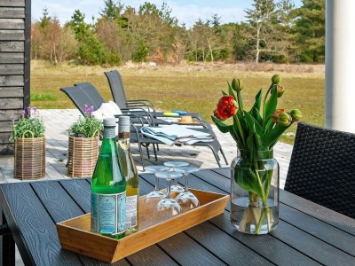 Holiday house Luxury Retreat in albaek - By Traum Ferienwohnungen - Outdoor photo 10