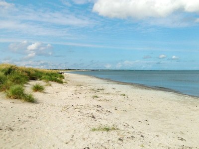 Holiday house Luxury Retreat in albaek - By Traum Ferienwohnungen - Outdoor photo 46