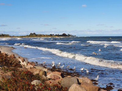 Holiday apartment Anacker - Environment photo 27